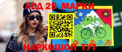 гашик Дубна
