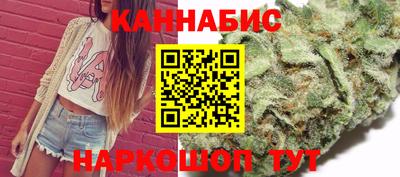 гашик Дубна