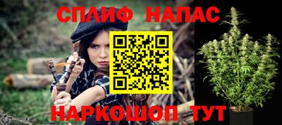 гашик Дубна