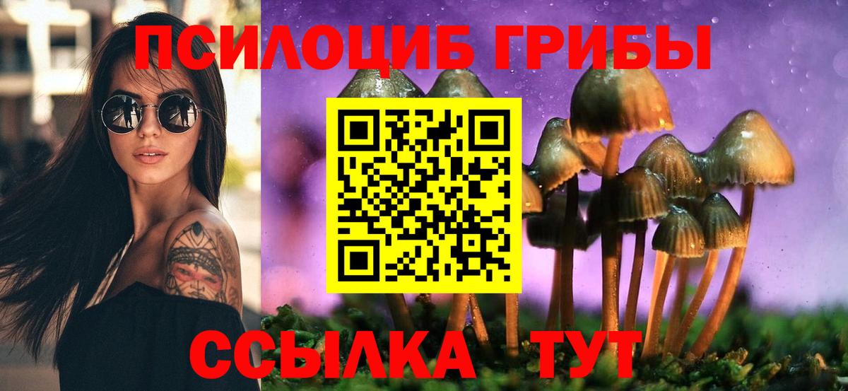 Псилоцибиновые грибы Cubensis  Вход с VPN  Менделеевск 